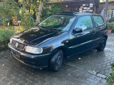 VW Polo