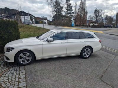 gebraucht Mercedes E220 E-Klasse d T 9G-TRONIC Avantgarde