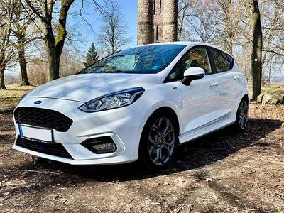 Gebraucht Ford Fiesta ST-Line 125 PS (91 kW) 2019 Weiß Kleinwagen