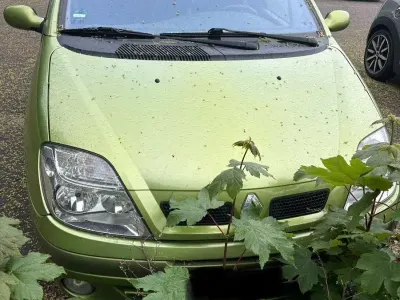 Używany Renault Scénic
