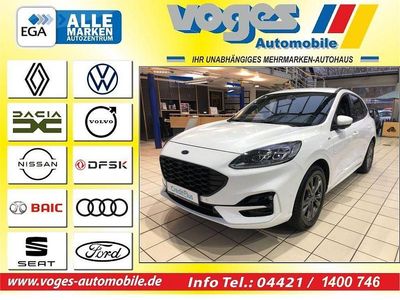 Frozen white Gebraucht 2020 Ford Kuga ST-Line X SUV | 23.500 € (Teuer)