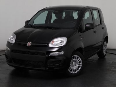 Neu Fiat Panda 69 PS (50 kW) 2025 Schwarz, cinema black Kleinwagen