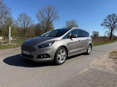 Usata Ford S-MAX Titanium 241 CV (177 kW) 2015 Beige Monovolume