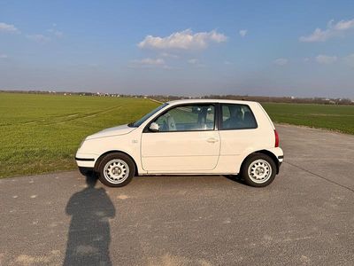 Gebraucht VW Lupo 75 PS (55 kW) 2001 Weiß Kleinwagen