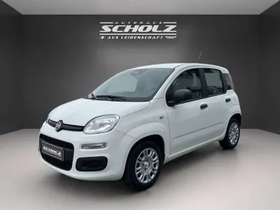 Nuova Fiat Panda Pop 65 CV (47 kW) 2026 Bianco Utilitaria