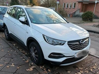 Gebraucht Opel Grandland X 131 PS (96 kW) 2021 Weiß SUV