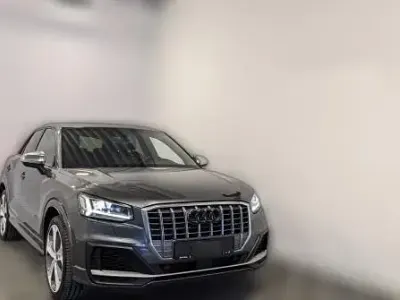 Brugt Audi SQ2 Comfort 300 HK (220 kW) 2019 Grå SUV