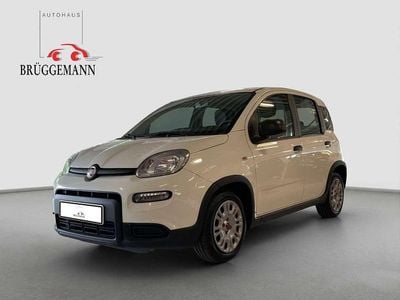 Weiß Gebraucht 2023 Fiat Panda Kleinwagen | 11.490 € (Fairer Preis)