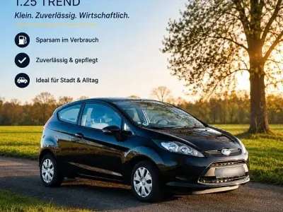 Gebraucht Ford Fiesta Trend 60 PS (44 kW) 2011 Schwarz Limousine