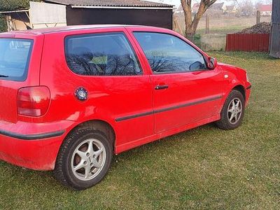 VW Polo