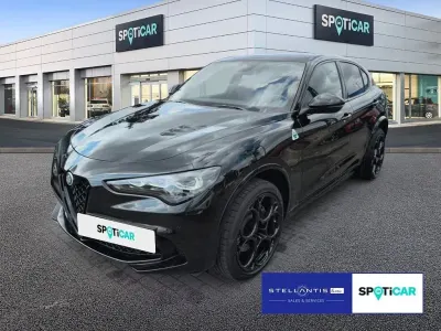 Gebraucht Alfa Romeo Stelvio Quadrifoglio 519 PS (381 kW) 2024 Schwarz SUV