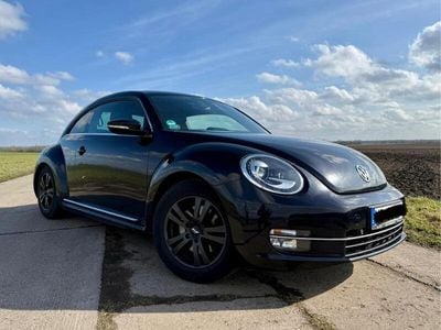 VW Beetle