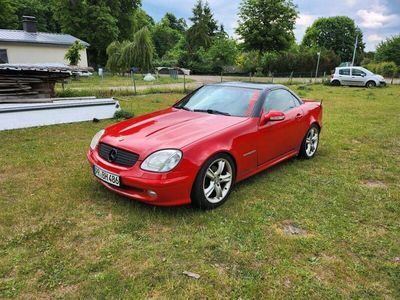 gebraucht Mercedes SLK230 