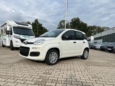 Gebraucht Fiat Panda Icon 70 PS (51 kW) 2025 Gelato weiss Kleinwagen