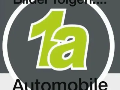 Usata Land Rover Discovery 4 HSE 211 CV (155 kW) 2011 Verde SUV