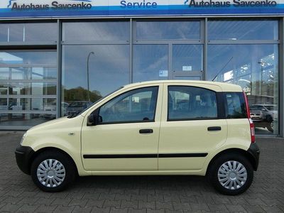 Usata Fiat Panda Active 54 CV (39 kW) 2009 Giallo Utilitaria