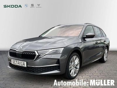 Grau Gebraucht 2024 Skoda Octavia Selection Kombi | 33.780 € (Fairer Preis)