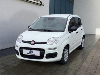 Neu Fiat Panda 65 PS (47 kW) 2026 Gelato weiß Kleinwagen