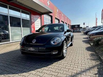 gebraucht VW Beetle 1.2 TSI Design Metallic Navi Klima 8fachB