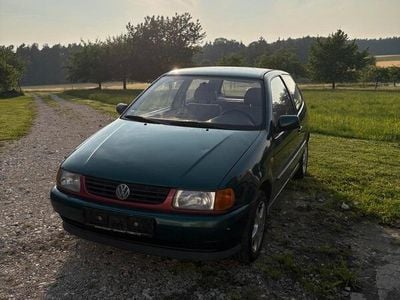 VW Polo