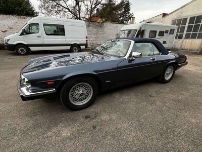 gebraucht Jaguar XJS CABRIO H-Zulassung sehr schön