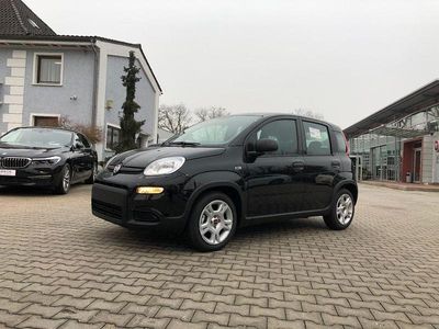 Gebraucht Fiat Panda 69 PS (50 kW) 2024 Cinema schwarz Kleinwagen