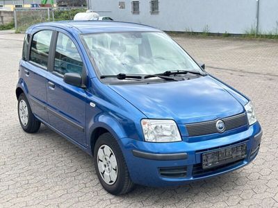gebraucht Fiat Panda New1.1 8V Young -Zahnriemen+TÜV+ÖL NEU !