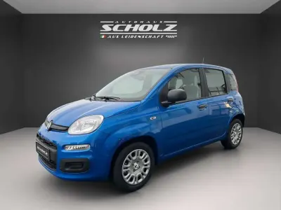 Nouvelle Fiat Panda Icon 65 ch (47 kW) 2025 Bleue Berline