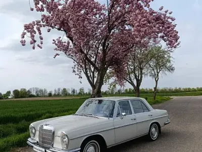 Gebraucht Mercedes W108 131 PS (96 kW) 1967 Weiß Limousine