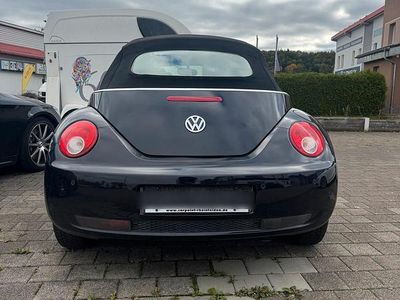 VW Beetle