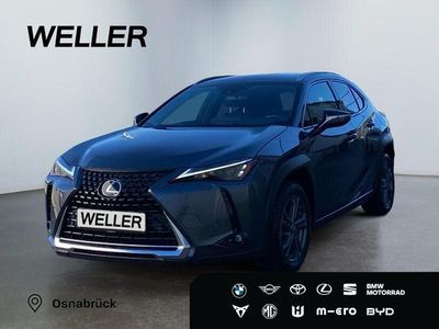 Gebraucht Lexus UX 250h Executive Line 184 PS (135 kW) 2023 Grau SUV