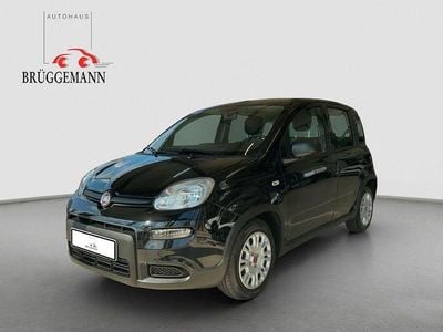 Gebraucht Fiat Panda 69 PS (50 kW) 2023 Schwarz Kleinwagen