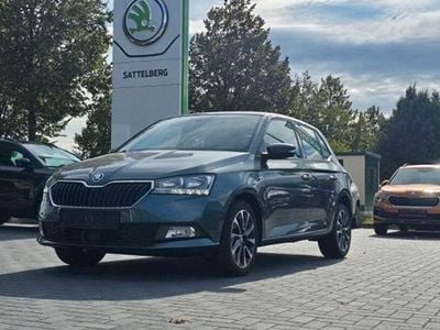 Gebraucht Skoda Fabia Drive 199 PS (146 kW) 2020 Grau Kleinwagen