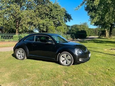 VW Beetle