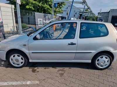 VW Polo
