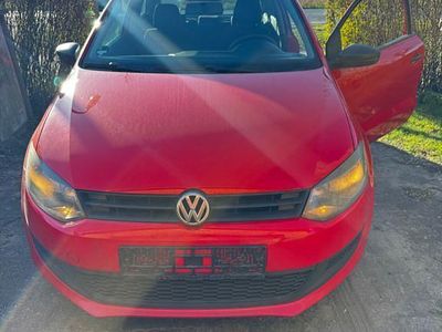 VW Polo