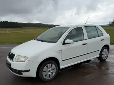 Gebraucht Skoda Fabia