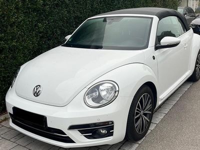 VW Beetle