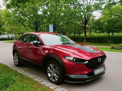 gebraucht Mazda CX-30 2.0 SKYACTIV-G M-Hybrid Automatic