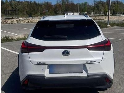 Brugt Lexus UX 250h 152 HK (111 kW) 2021 Hvid SUV
