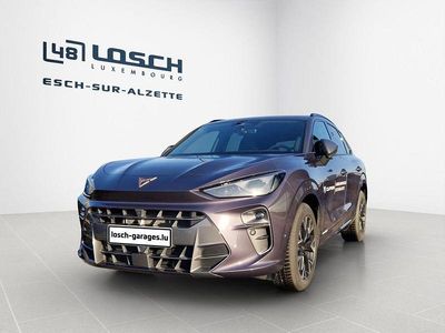 Usata Cupra Terramar 204 CV (150 kW) 2025 Viola SUV