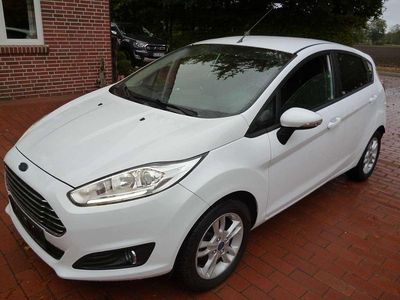Frozen white Gebraucht 2015 Ford Fiesta Trend Kleinwagen | 6.489 € (Fairer Preis)