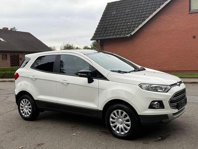 Gebraucht Ford Ecosport ST 140 PS (102 kW) 2017 Weiß SUV