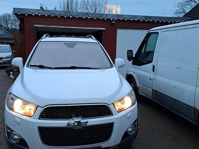 Gebraucht Chevrolet Captiva 184 PS (135 kW) 2012 Weiß SUV