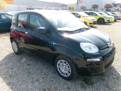 Neu Fiat Panda Icon 65 PS (47 kW) 2026 Schwarz Kleinwagen