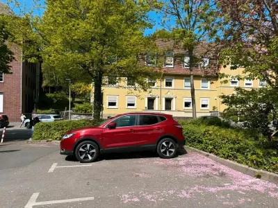 Gebraucht Nissan Qashqai 115 PS (84 kW) 2017 Rot SUV