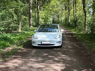 Occasion Tesla Model 3 Standard Range Plus 239 kW (325 PK) 2021 Wit Sedan