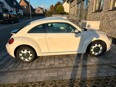 VW Beetle