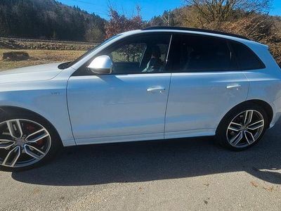 Gebraucht Audi SQ5 Design 311 PS (228 kW) 2015 Weiß SUV