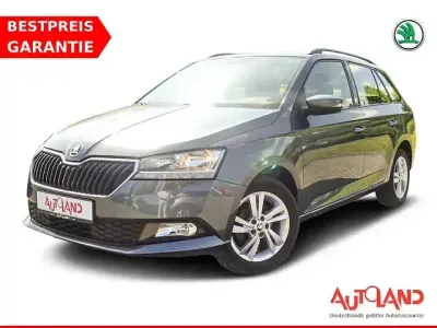 Gebraucht Skoda Fabia 95 PS (69 kW) 2019 Grau Kleinwagen